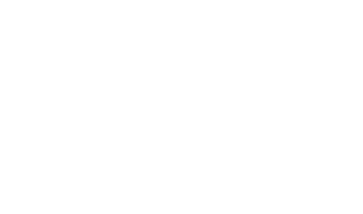 Illinois Arts Council Logo (all words)
