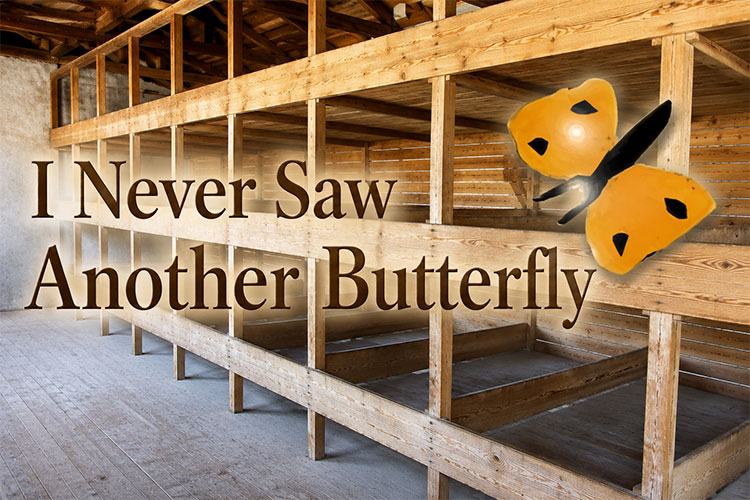 I Never Saw Another Butterfly